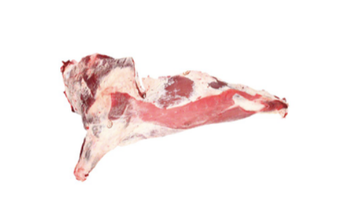 21 beef forequarter